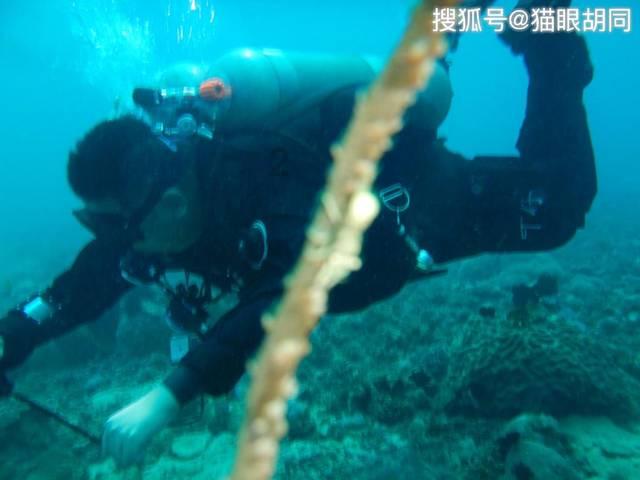 熊出没百层大冒险