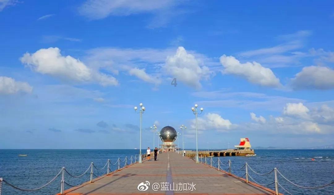 动物帮帮忙保卫家园